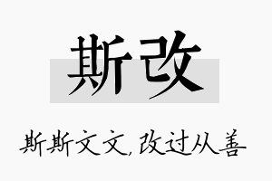 斯改名字的寓意及含义