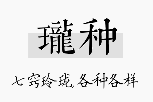 珑种名字的寓意及含义