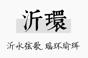 沂环名字的寓意及含义