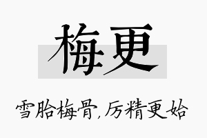 梅更名字的寓意及含义