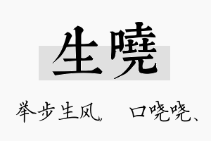 生哓名字的寓意及含义