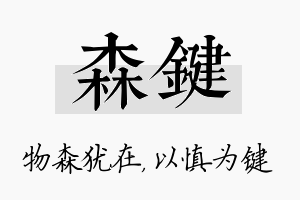 森键名字的寓意及含义