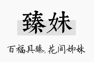 臻妹名字的寓意及含义