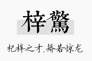 梓惊名字的寓意及含义