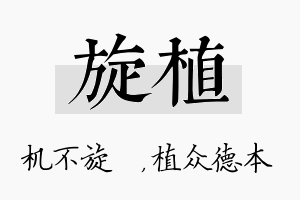 旋植名字的寓意及含义