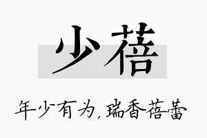 少蓓名字的寓意及含义