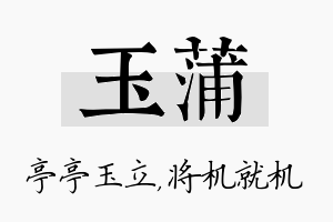 玉蒲名字的寓意及含义