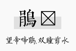 鹃曈名字的寓意及含义