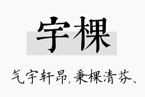 宇棵名字的寓意及含义