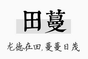 田蔓名字的寓意及含义