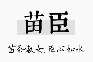 苗臣名字的寓意及含义