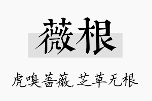 薇根名字的寓意及含义