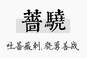 蔷骁名字的寓意及含义