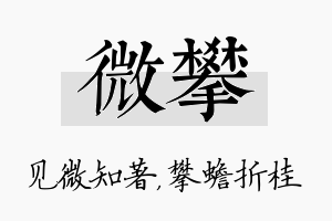 微攀名字的寓意及含义