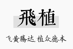 飞植名字的寓意及含义