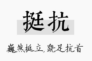 挺抗名字的寓意及含义