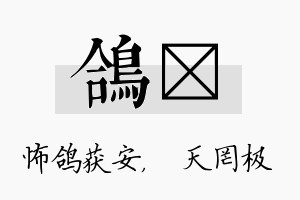 鸽皞名字的寓意及含义