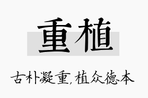 重植名字的寓意及含义