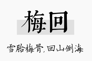 梅回名字的寓意及含义