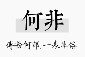 何非名字的寓意及含义