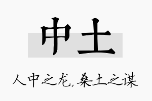 中土名字的寓意及含义