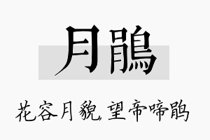 月鹃名字的寓意及含义