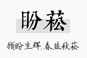 盼菘名字的寓意及含义