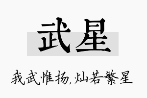 武星名字的寓意及含义