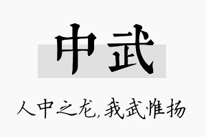 中武名字的寓意及含义