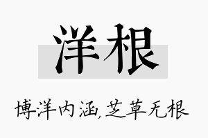 洋根名字的寓意及含义