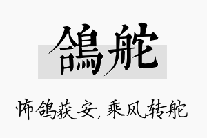 鸽舵名字的寓意及含义