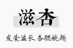 滋杏名字的寓意及含义