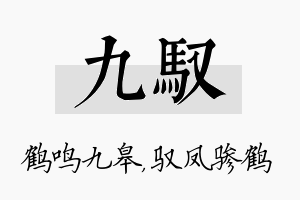 九驭名字的寓意及含义