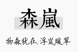 森岚名字的寓意及含义