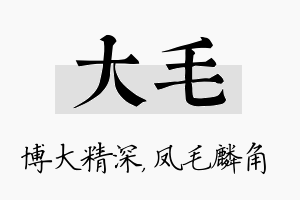 大毛名字的寓意及含义