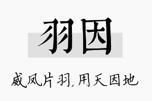 羽因名字的寓意及含义