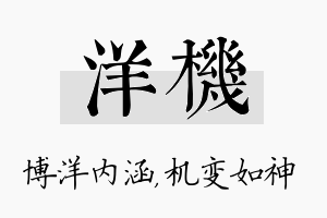 洋机名字的寓意及含义