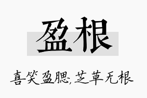 盈根名字的寓意及含义