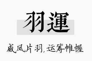 羽运名字的寓意及含义