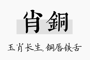 肖铜名字的寓意及含义