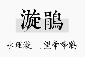 漩鹃名字的寓意及含义