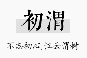 初渭名字的寓意及含义