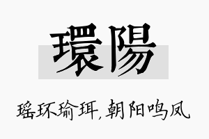 环阳名字的寓意及含义