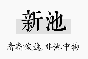 新池名字的寓意及含义