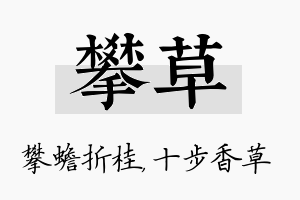 攀草名字的寓意及含义