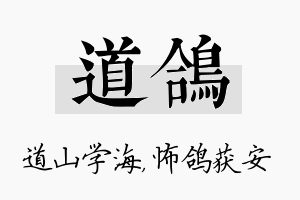 道鸽名字的寓意及含义