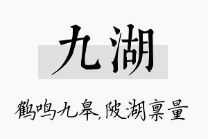 九湖名字的寓意及含义