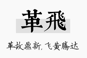 革飞名字的寓意及含义