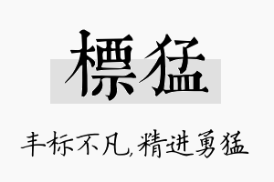 标猛名字的寓意及含义