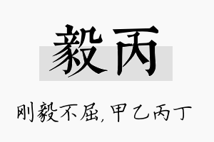 毅丙名字的寓意及含义